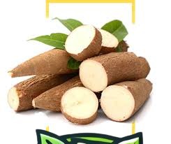 CASSAVA