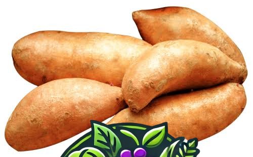 YAM