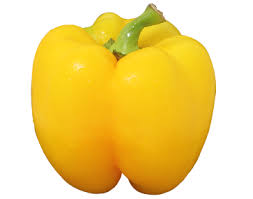 HOHO-CAPSICUM-YELLOW