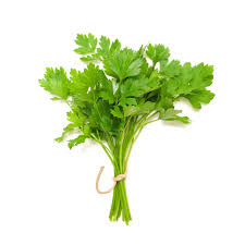 https://nyandaruafreshgroceries.co.ke/storage/app/public/products/coriander.jpg