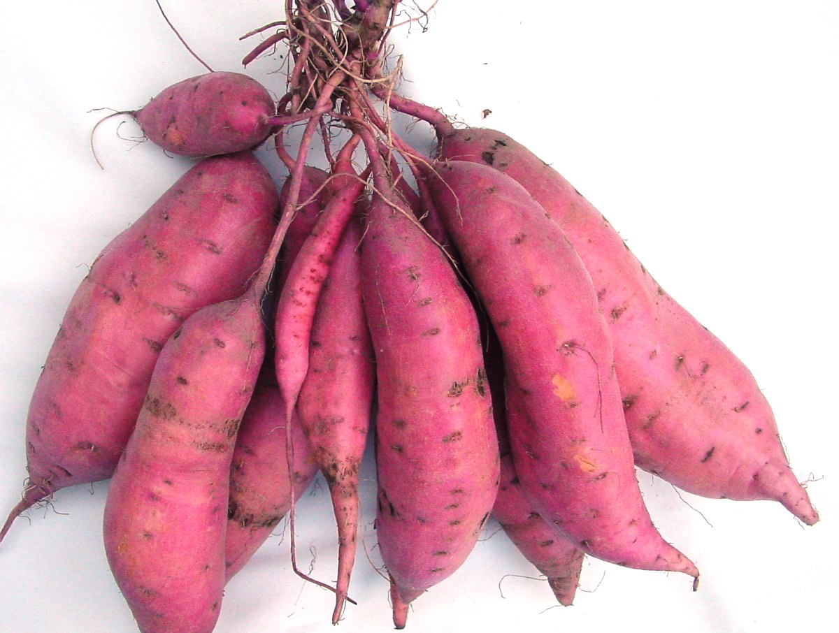 https://nyandaruafreshgroceries.co.ke/storage/app/public/products/sweet_potatoes.jpg