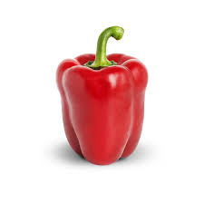 HOHO-CAPSICUM-RED